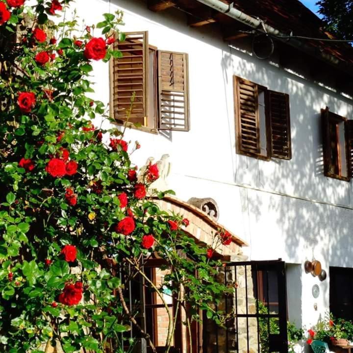 Hotel La Amadeus & Monica Minis Exterior foto